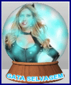 GATINHA  111.gif